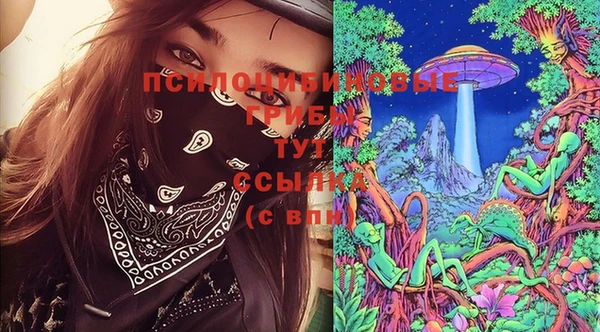 сатива Алексин