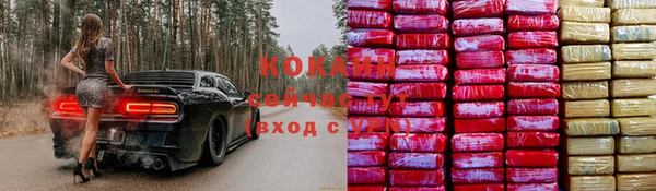 сатива Алексин